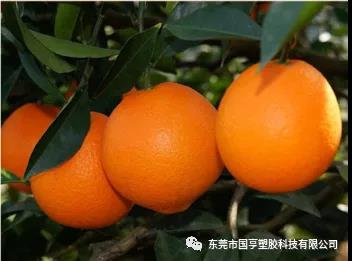 PCR材料供应商