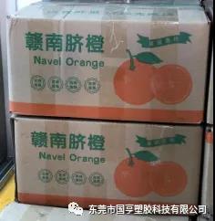 PCR材料供应商