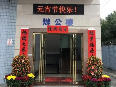 正月十五闹元宵，新春寅虎来纳福